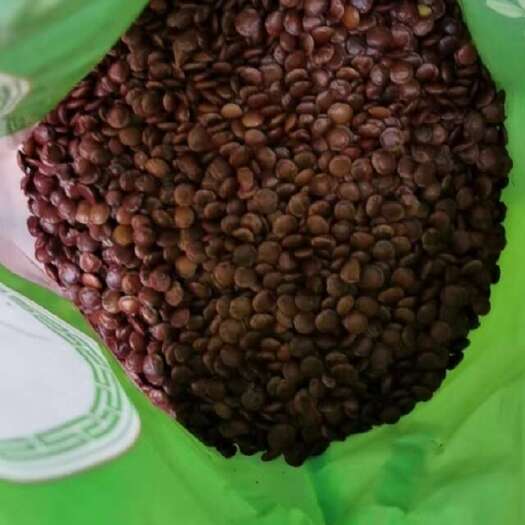 亳州优质级酸枣仁中药材炒熟酸枣仁搭配茯苓组合泡茶