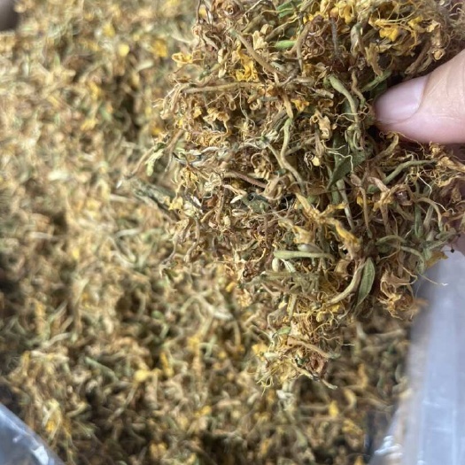 和平县无硫生晒野生金银花茶自然凉泡茶宝宝洗澡