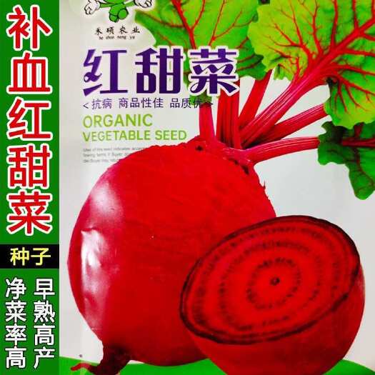 邵东市甜菜根好吃菜红梗甜菜种子紫菜头蔬菜春秋播种甜菜种子农家老品种