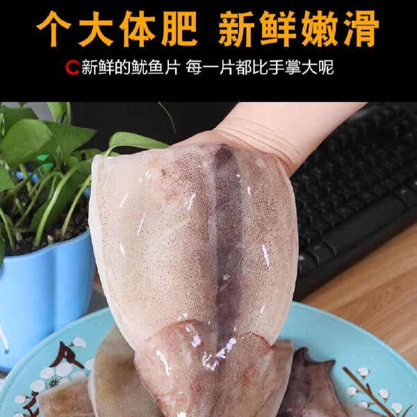 【顺丰】新鲜鱿鱼片大鱿鱼去头去内脏八爪鱼章鱼烧烤火锅食材