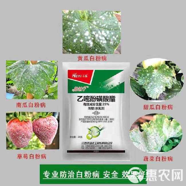 白粉病专用江西禾宜粉创宁25%乙嘧酚磺酸酯草莓黄瓜甜瓜葡萄花