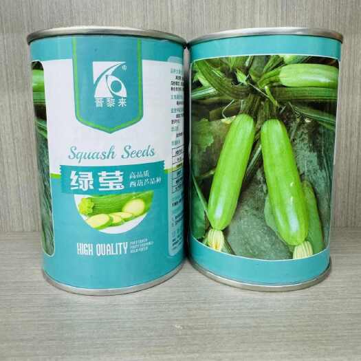 南京绿莹西葫芦种子高抗病耐热翠绿油亮西胡菜瓜种子春秋蔬菜种子