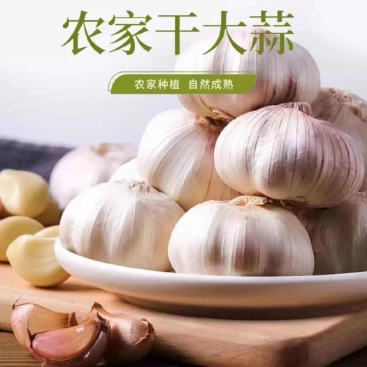 情谊深重时,招待好祥吃,人工挑选,紫皮大蒜,五斤发样品。