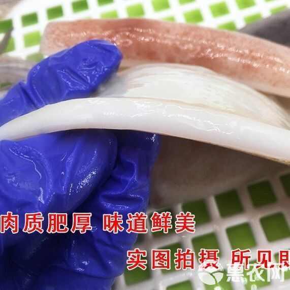 【顺丰】新鲜鱿鱼片大鱿鱼去头去内脏八爪鱼章鱼烧烤火锅食材