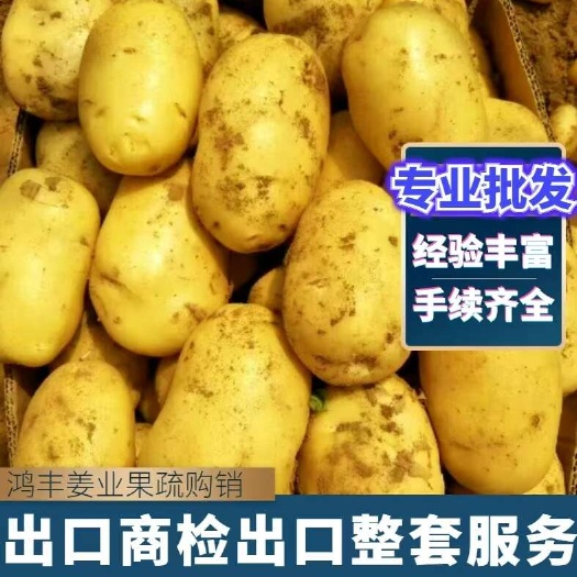 沂水县土豆 25年新货 规格齐全 外皮完整 大量有货荷兰15土豆