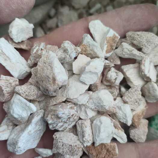 呼和浩特土龙骨