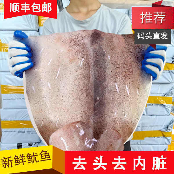 【顺丰】新鲜鱿鱼片大鱿鱼去头去内脏八爪鱼章鱼烧烤火锅食材