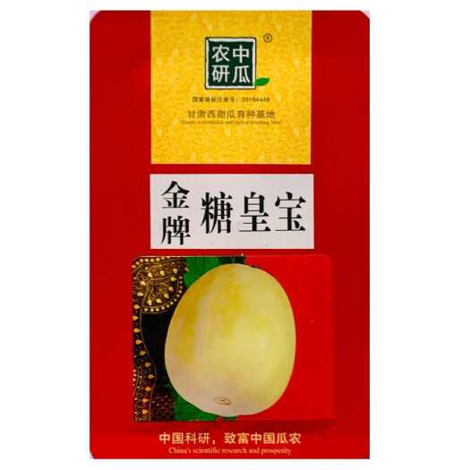 南京金牌糖皇宝甜瓜种子早熟黄白皮抗逆性强耐贮运糖度高基地甜瓜种孑