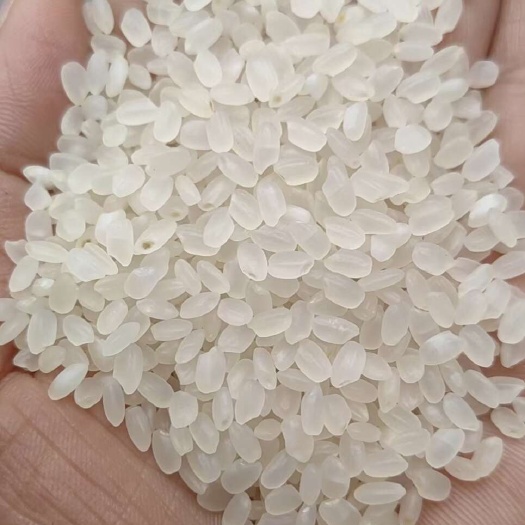 中牟县珍珠米