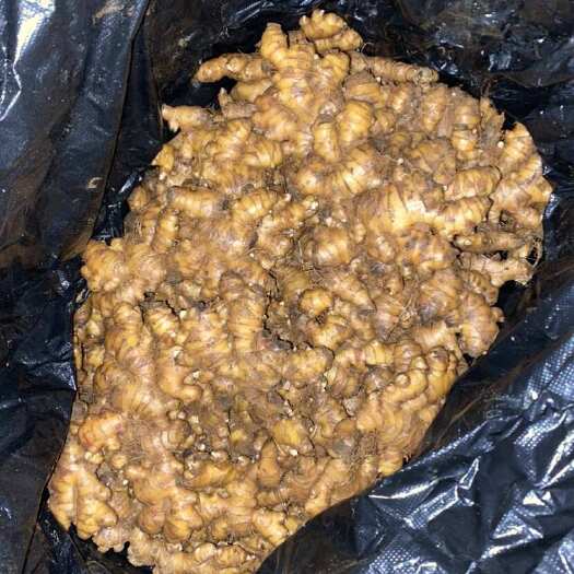 镇宁县专业中高端电商货供应，以质量论价，看上可详谈