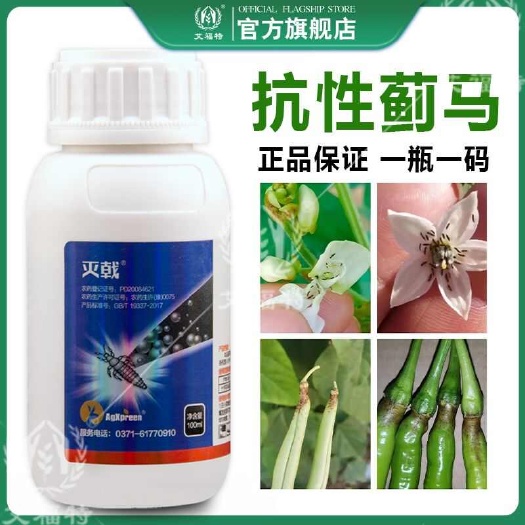 郑州灭戟抗性蓟马药专用药专杀蓟马杀虫杀卵豆角茄子蓟马花蓟马黑蓟马