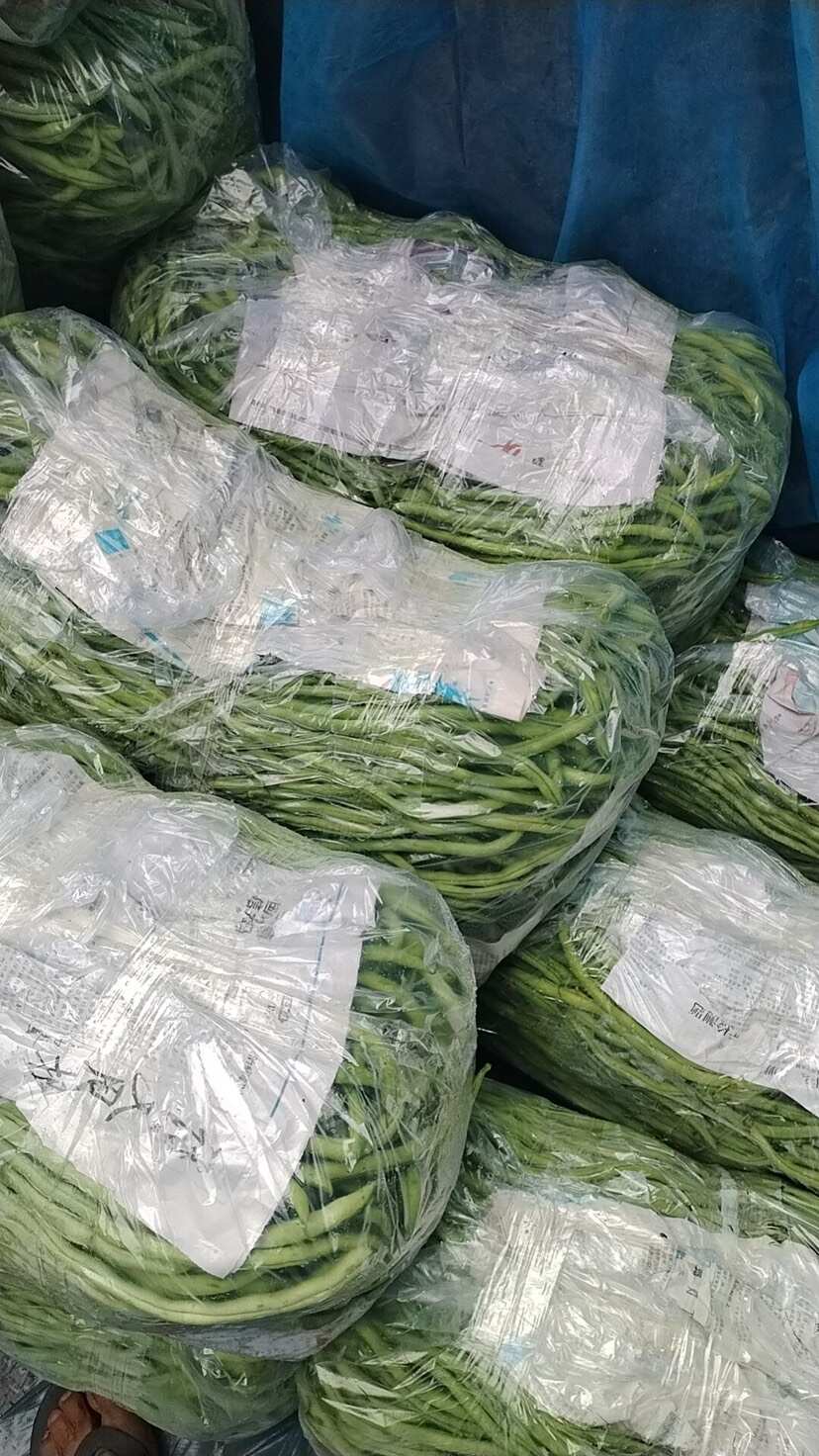 无筋豆