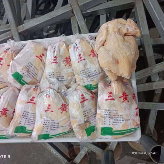 莘县三黄鸡白条  规格齐全