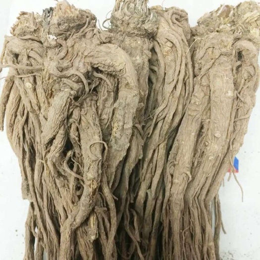 甘肃岷县当归干货优质级中药材整个整只当归