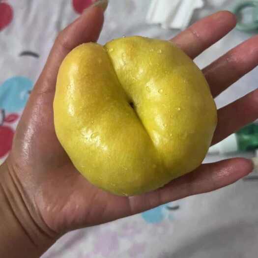 莒县黄蟠桃