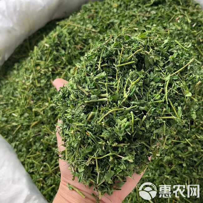 广西相思茶中药批发一手货源量大忧惠