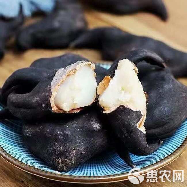 洪湖老菱角批发，