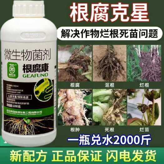 根腐病根腐克星快克烂根青枯生根壮苗茎腐基腐病专用生物菌剂