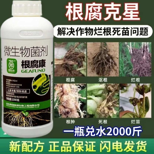陸豐市根腐病根腐克星快克爛根青枯生根壯苗莖腐基腐病專用生物菌劑