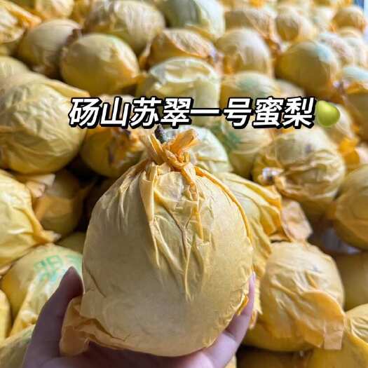 砀山县蜜梨