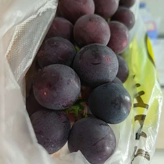 成都巨峰葡萄批发