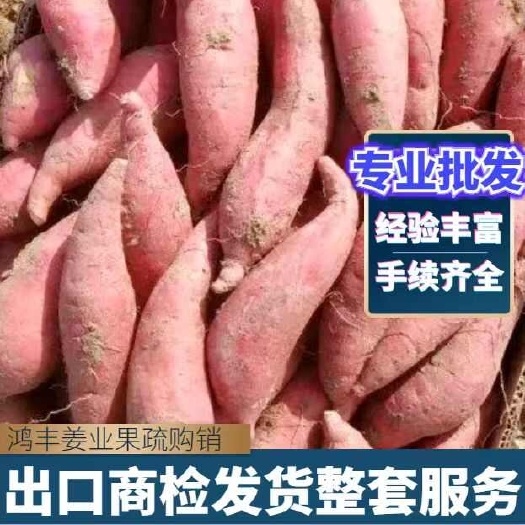 沂水县红薯大量有货全年发货