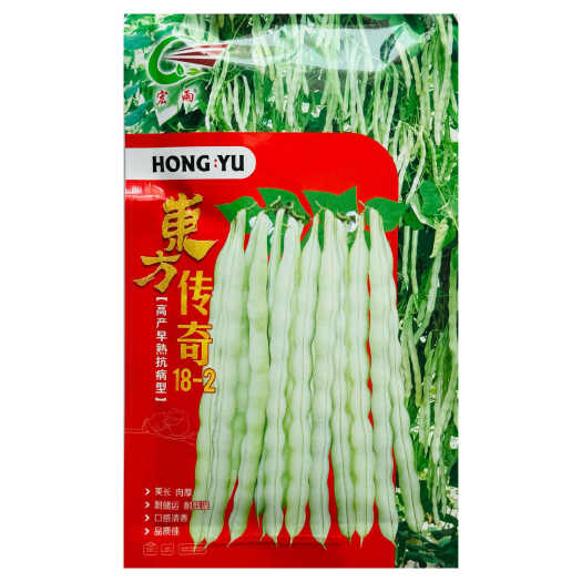 南京东方传奇18-2早熟抗病型架豆豆角种子速生长大田基地种植