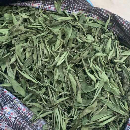 亳州甜叶菊 无硫正品甜叶菊【实图照片假一赔十】