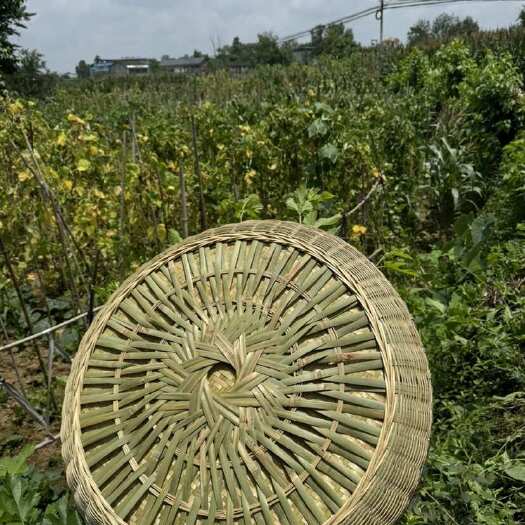 忠县竹编簸箕手工纯竹子