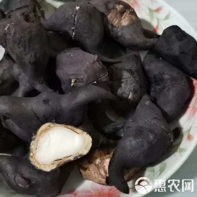 洪湖老菱角批发，