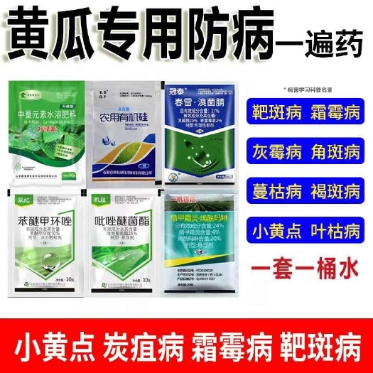 黄瓜专用套餐黄瓜病全治靶斑病黄点角斑病靶斑病枯萎病炭疽病组合