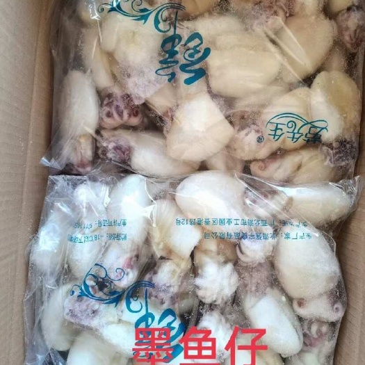 连云港墨鱼仔
