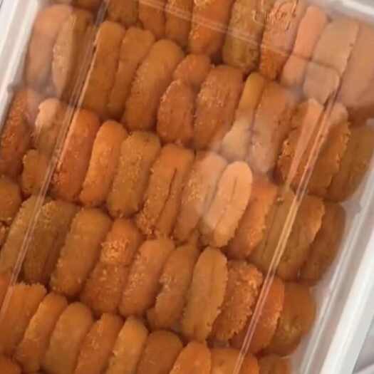 大连海胆板