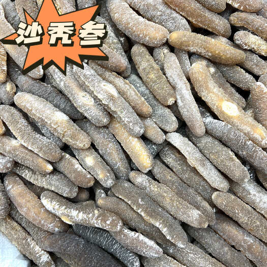 广州沙秃参黄金沙秃参干度好发量好厚肉口感胶质好