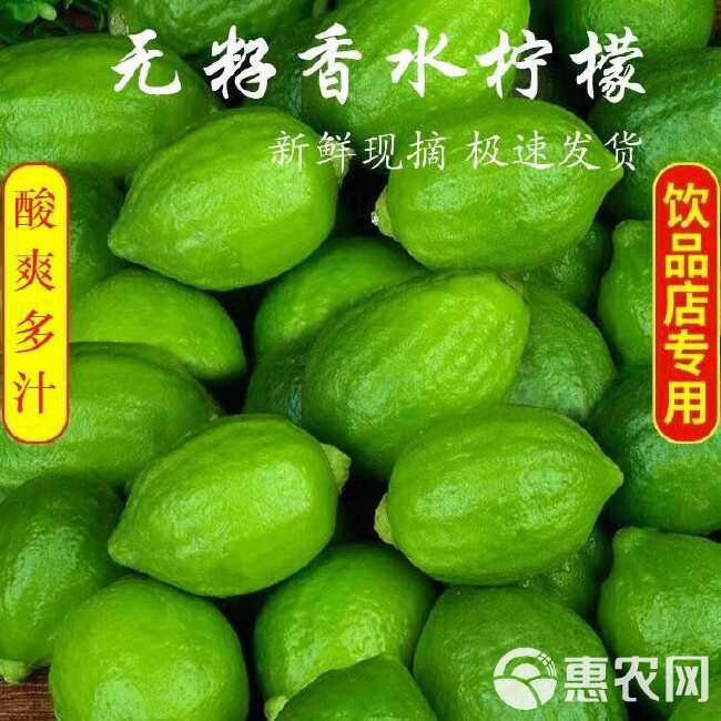 广东香水柠檬精选一级果咖啡奶茶店专用新鲜现摘现发无籽香水柠檬