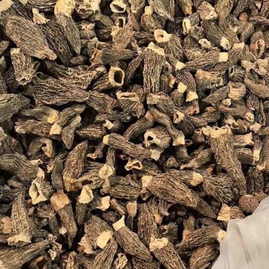 昆明羊肚菌