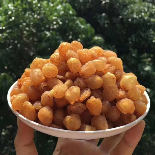 博白县桂圆肉，博白桂圆肉 ， 优等桂圆肉，质量保证，价格实惠