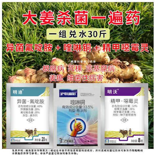 诸城市大姜杀菌专用药异菌氟碇胺喹啉铜生姜专用套餐姜瘟农药杀菌消毒