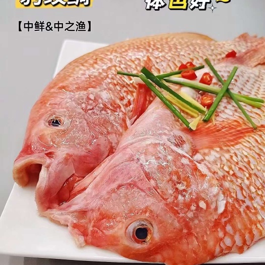济南红鱼