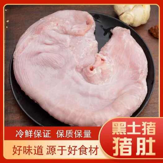 临沂猪肚新鲜现杀整个猪肚散养土猪猪肚猪胃营养冰冻小香猪肚
