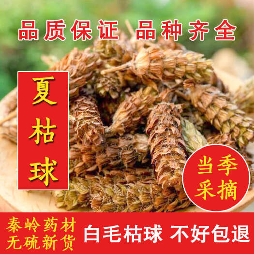 旬阳市秦岭夏枯草夏枯球干货批发，今年新货批发零售1斤也发货