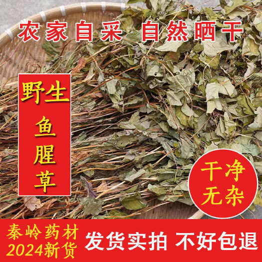 旬阳市秦岭鱼腥草中药材新鲜干货鱼腥草中草药鱼腥草叶茶臭腥草批发