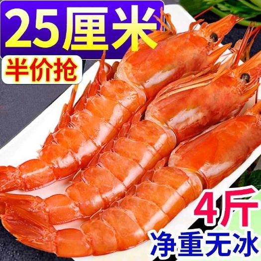 青岛阿根廷红虾l1鲜活超大海虾特大红虾冷冻大虾速冻海鲜水产船冻