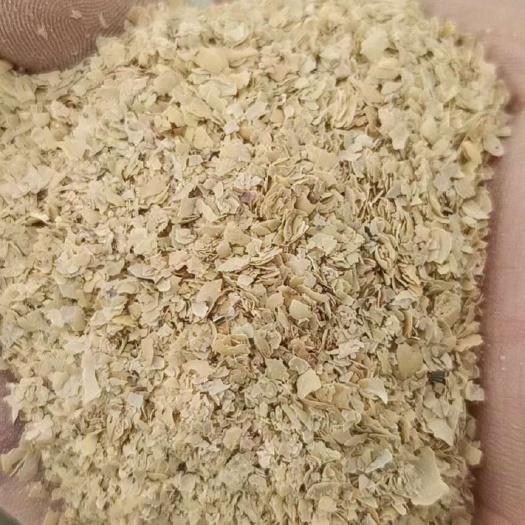 石家庄大豆皮