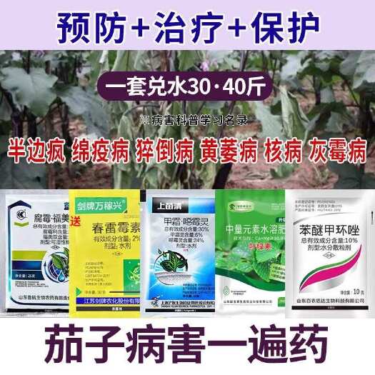 诸城市茄子专用药杀菌剂茄子灰霉病枯萎病青枯病猝倒病霜霉病软腐病农药