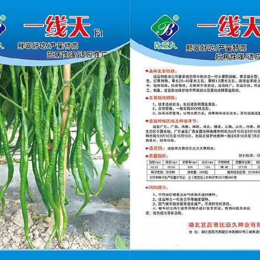 南靖县一线天加长软皮线椒种子中早熟小果型果实细长青红两用