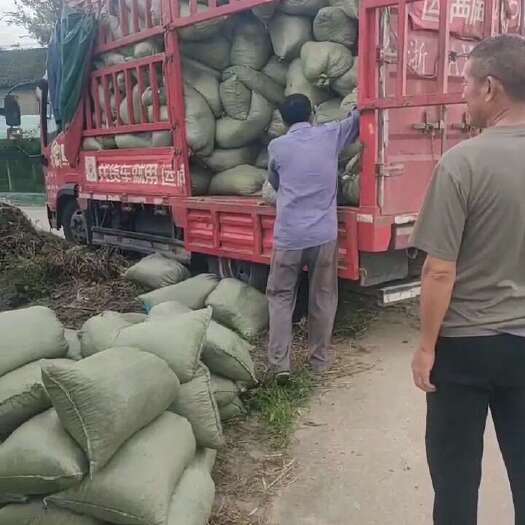 三门县羊粪颗粒自然腐熟改良盐碱提高地肥力增产增收