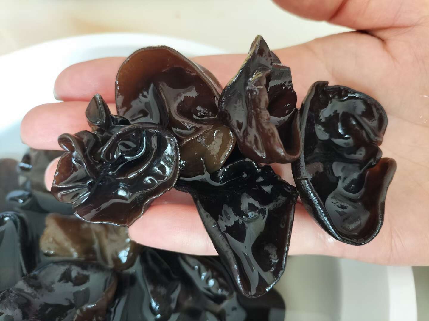 東北木耳，電商專用，價格低，質(zhì)量好