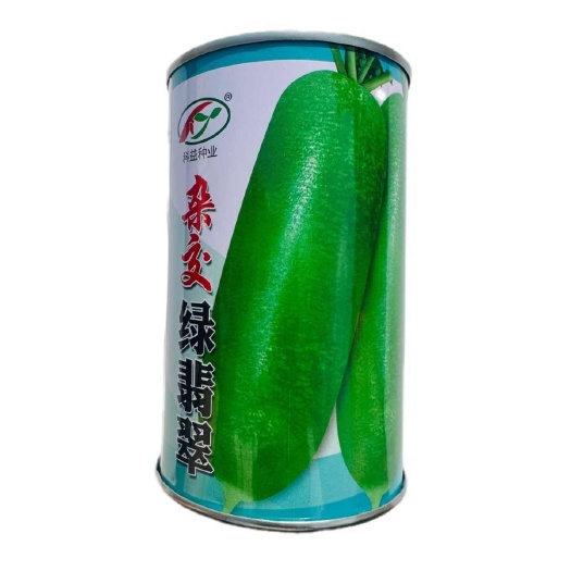 杂交绿翡翠萝卜种子杂交水果萝卜种子生吃脆甜皮薄绿皮绿肉青萝卜