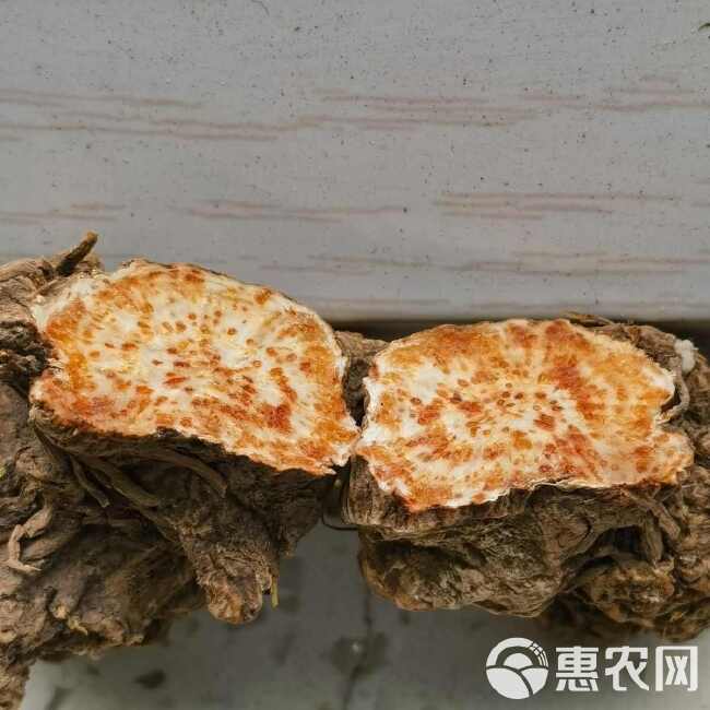 中药材炒苍术 苍术 天然苍术特级新鲜干货正品